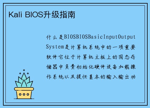 Kali BIOS升级指南